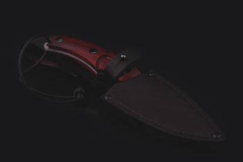 Ножны (Айрус )